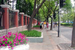 Fudan University Boulevard