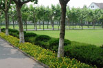 Fudan Campus