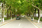 Fudan University, Shanghai, China