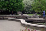 Fudan University Gardens