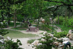 Fudan University Gardens