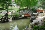 Fudan University Gardens