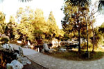 Fudan University Gardens
